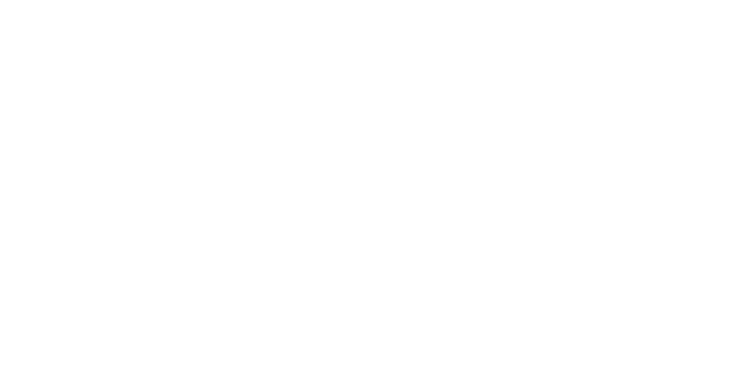 AIFF Festival 2024